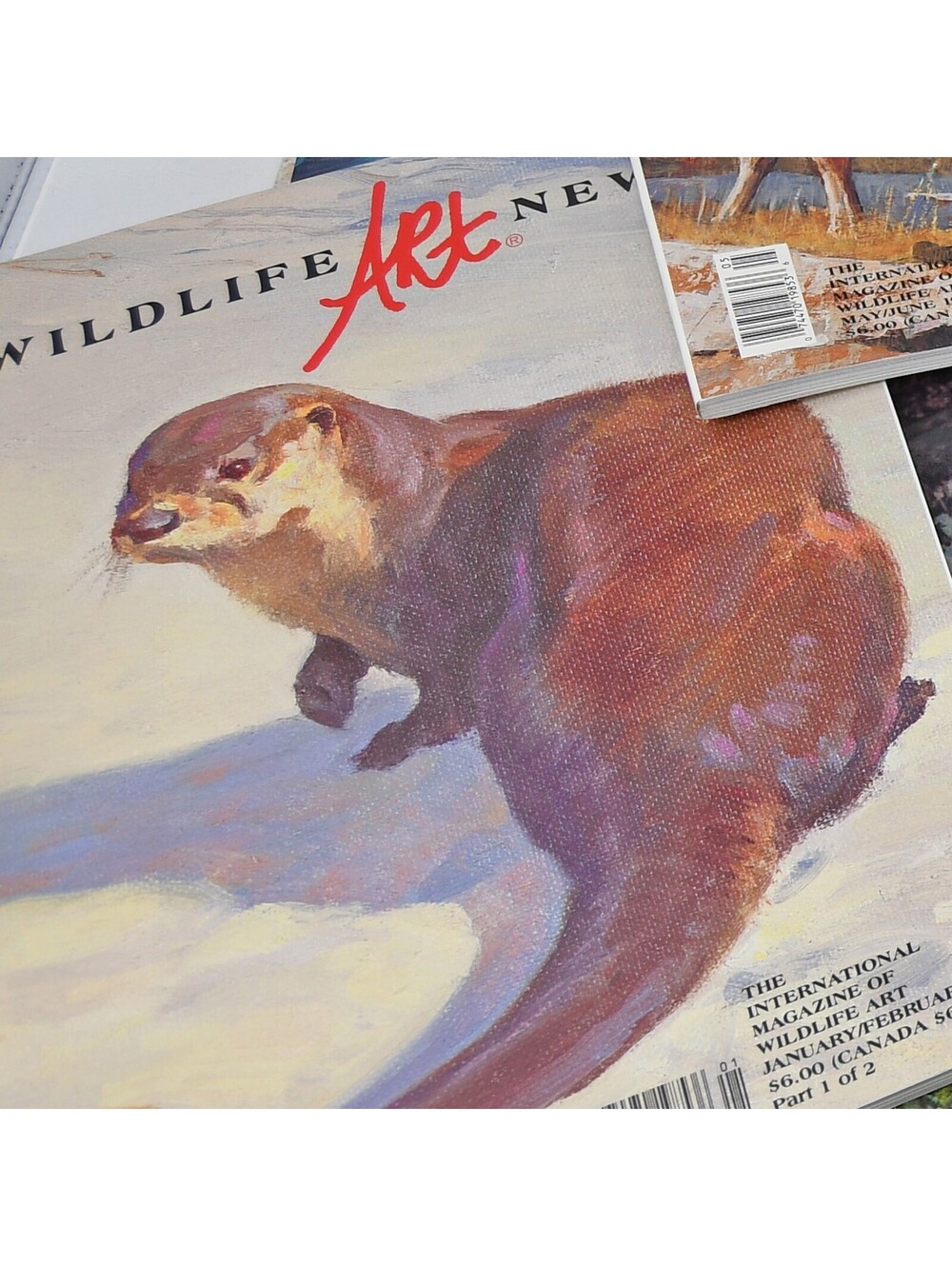 Wildlife Art News Magazines 1989 Full Set plus Yearbook with Partial 1993 1994
